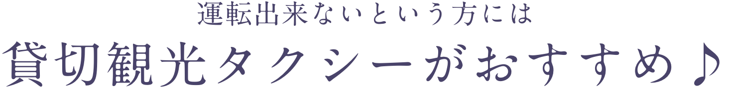 運転出来ないという方には貸切観光タクシーがおすすめ♪